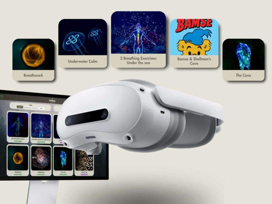 Mindergy VR Enterprise system