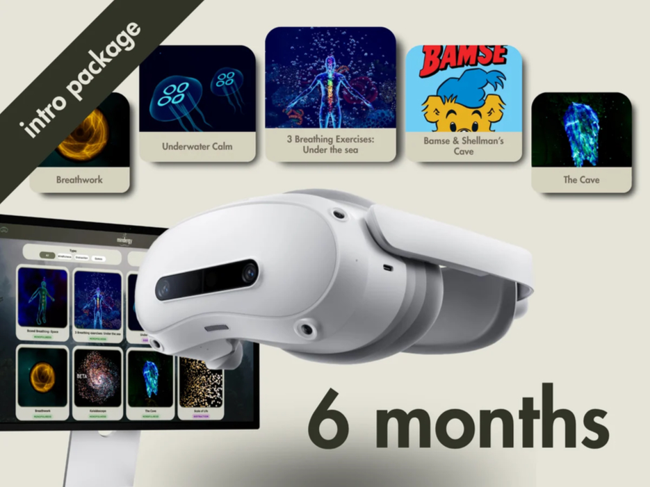 Mindergy Intro Package (6 months)