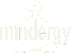 Mindergy VR